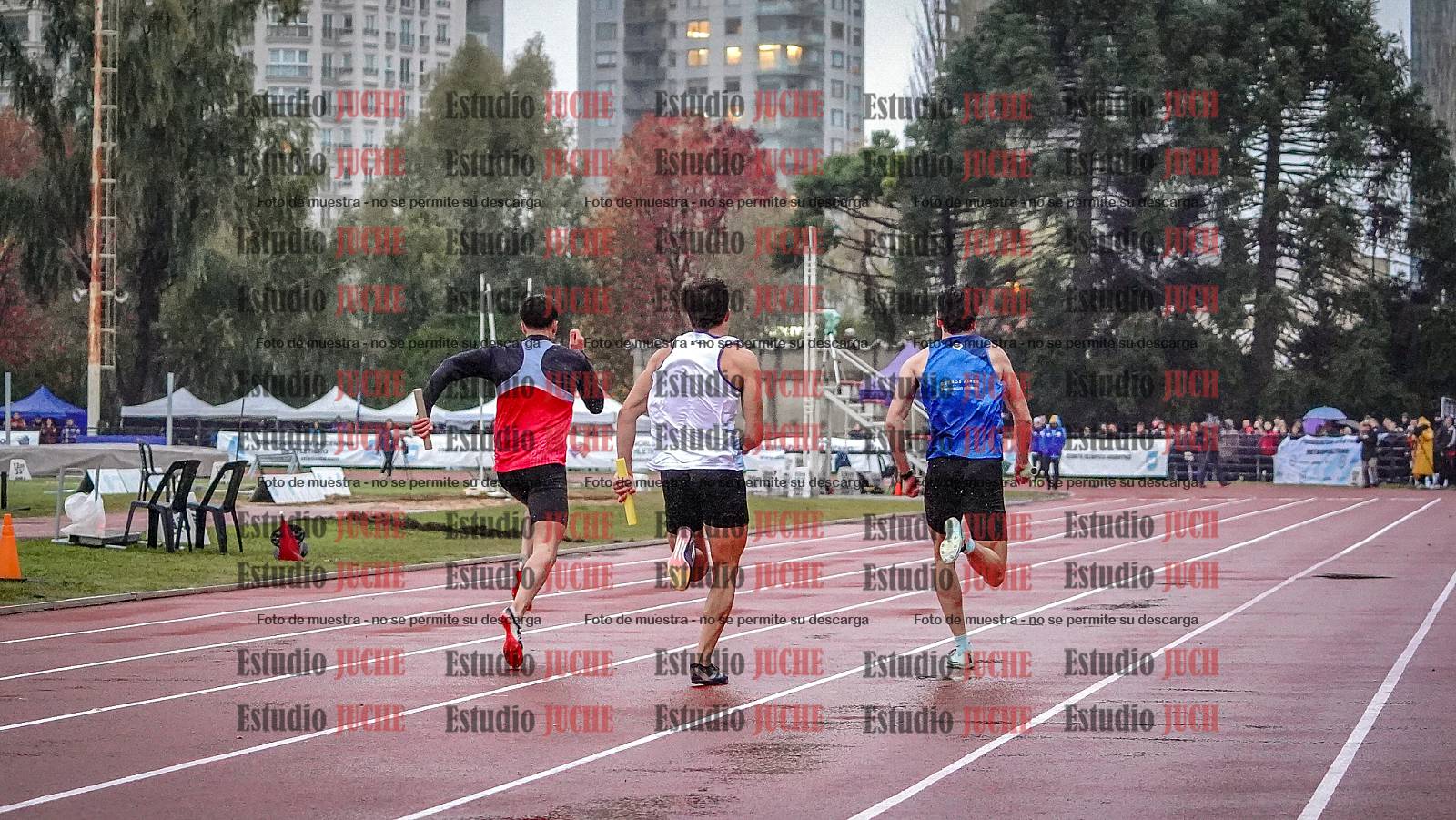 Fotos de las postas 4x100 m de varones