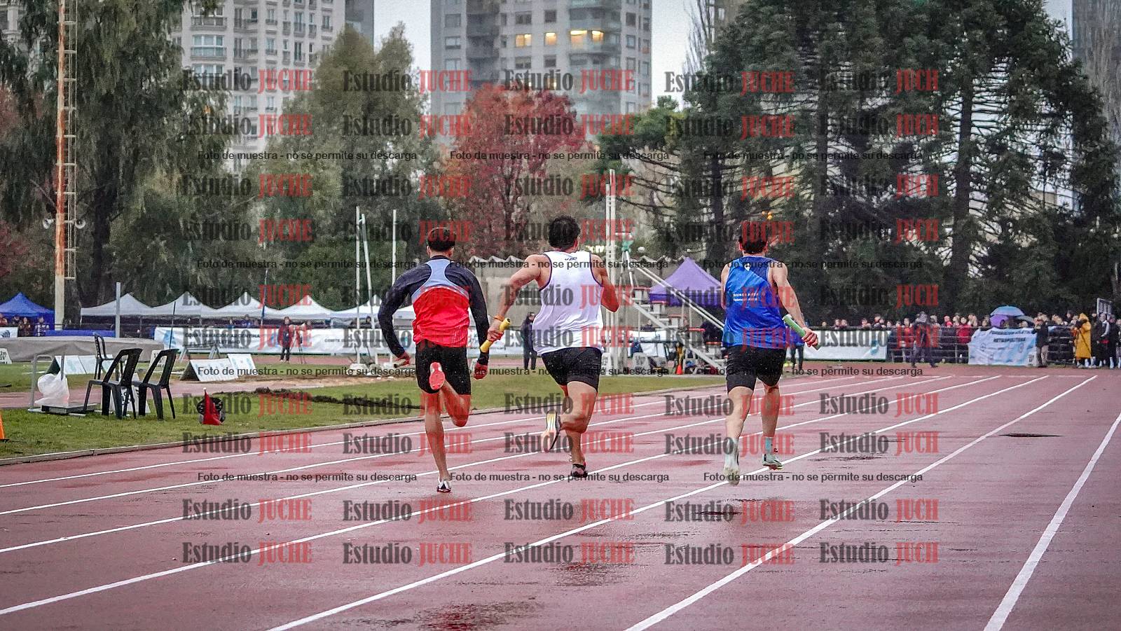 Fotos de las postas 4x100 m de varones