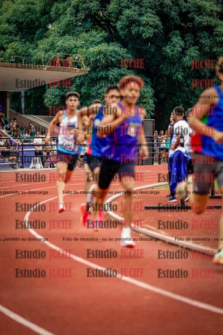 Fotos de los 800 m de varones