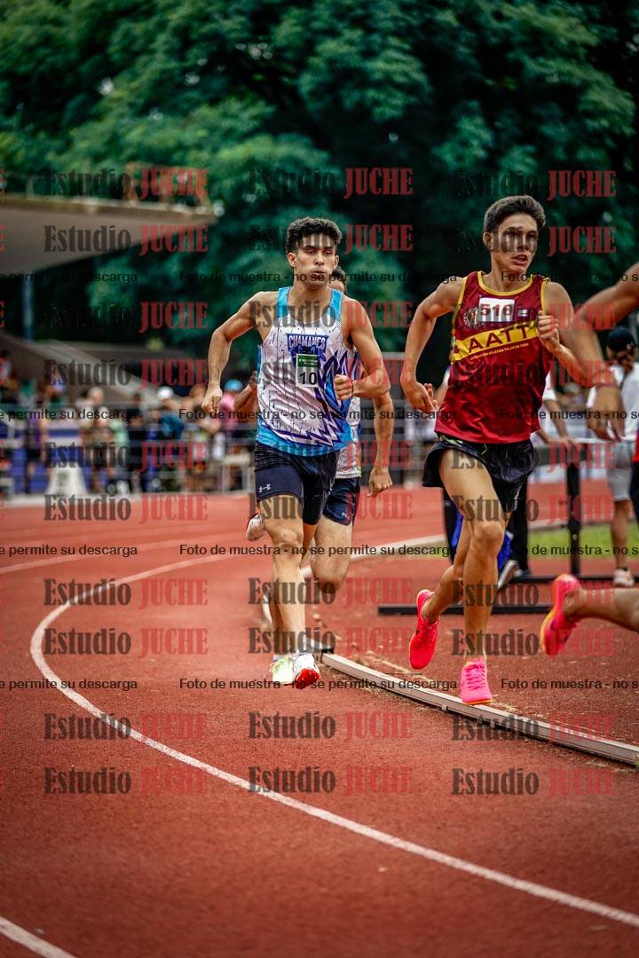 Fotos de los 800 m de varones