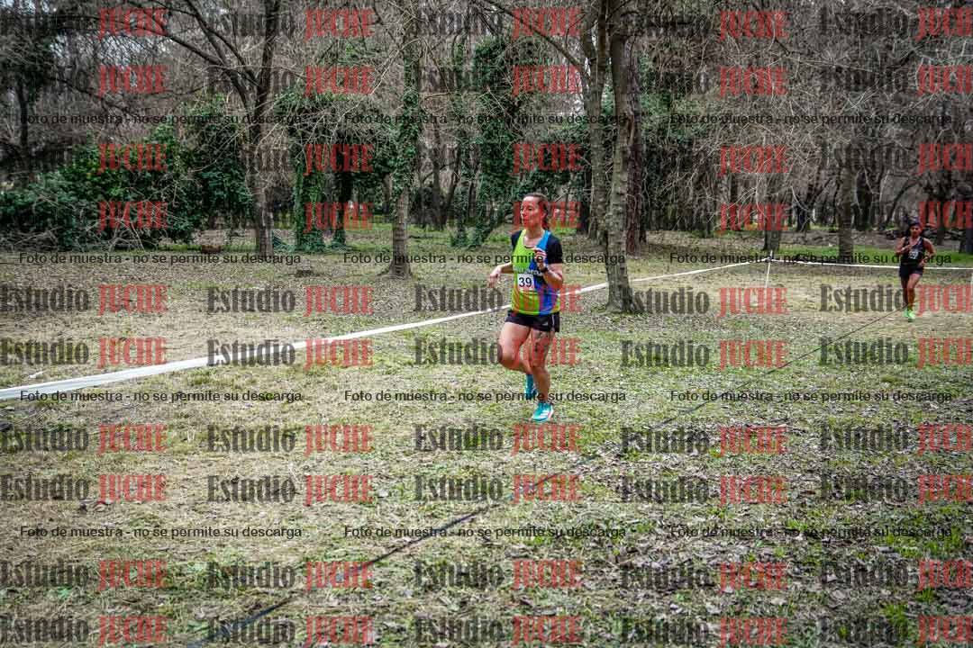Fotos en el circuito