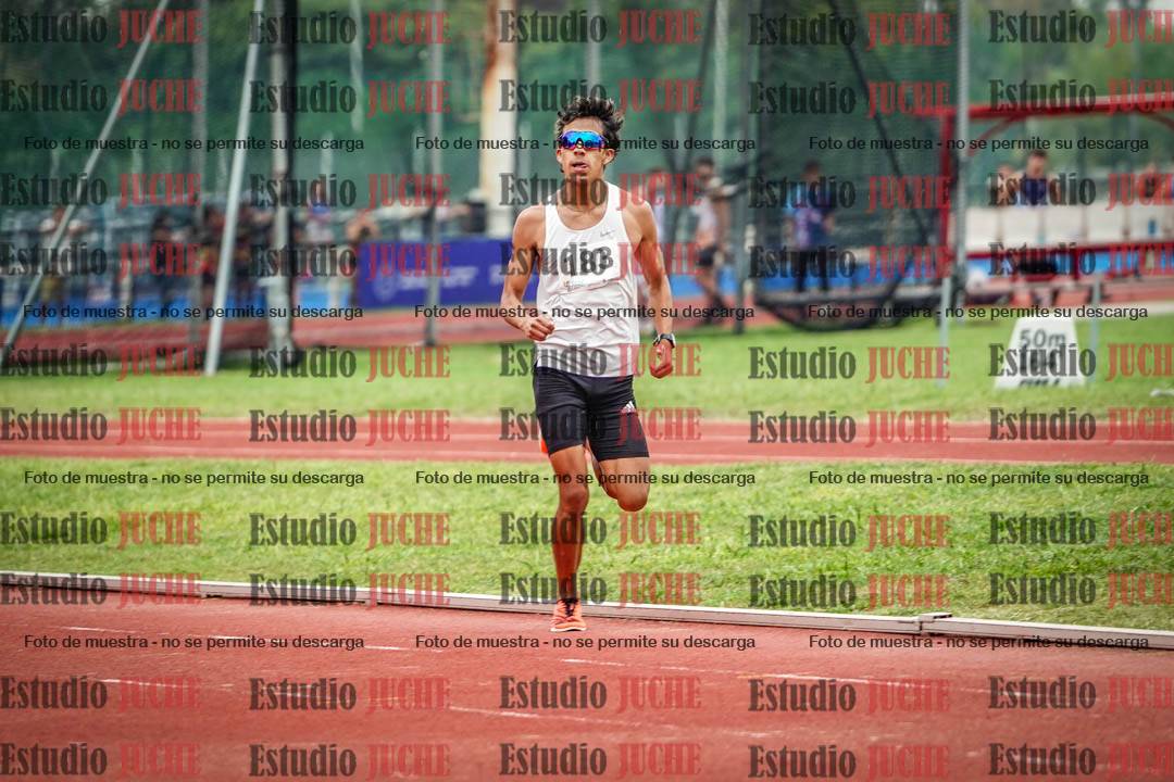 Fotos de los 800 m de varones
