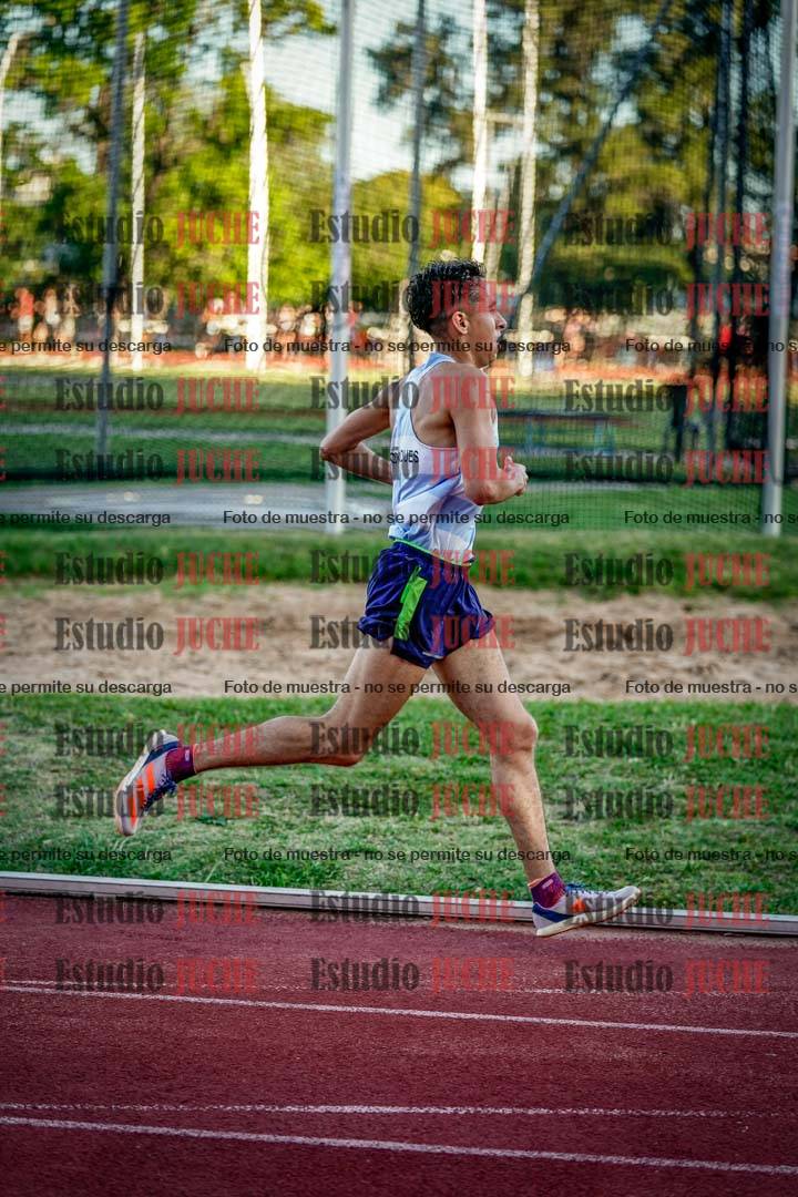 Fotos de los 3000 m llanos de varones