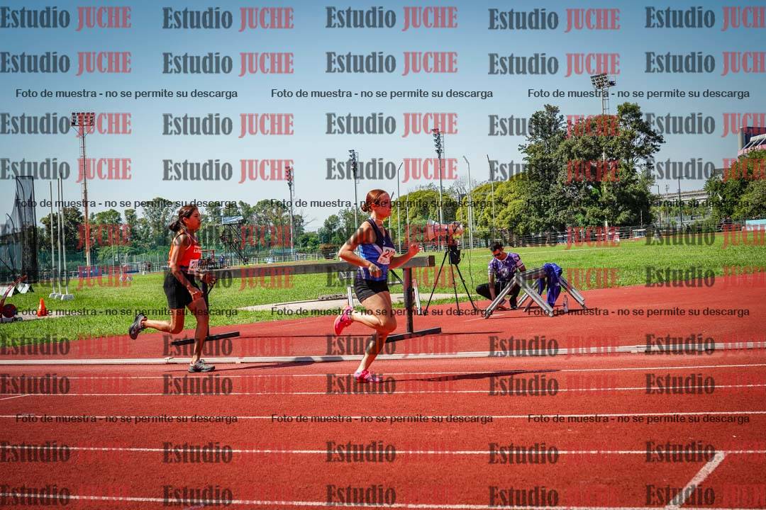 Fotos de los 800 m llanos de mujeres