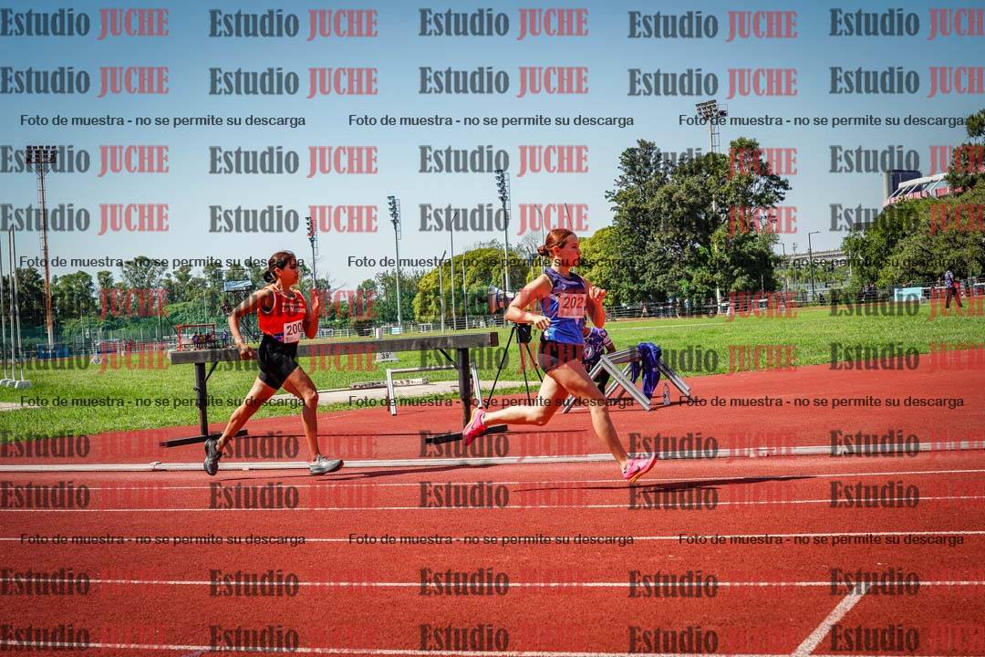 Fotos de los 800 m llanos de mujeres
