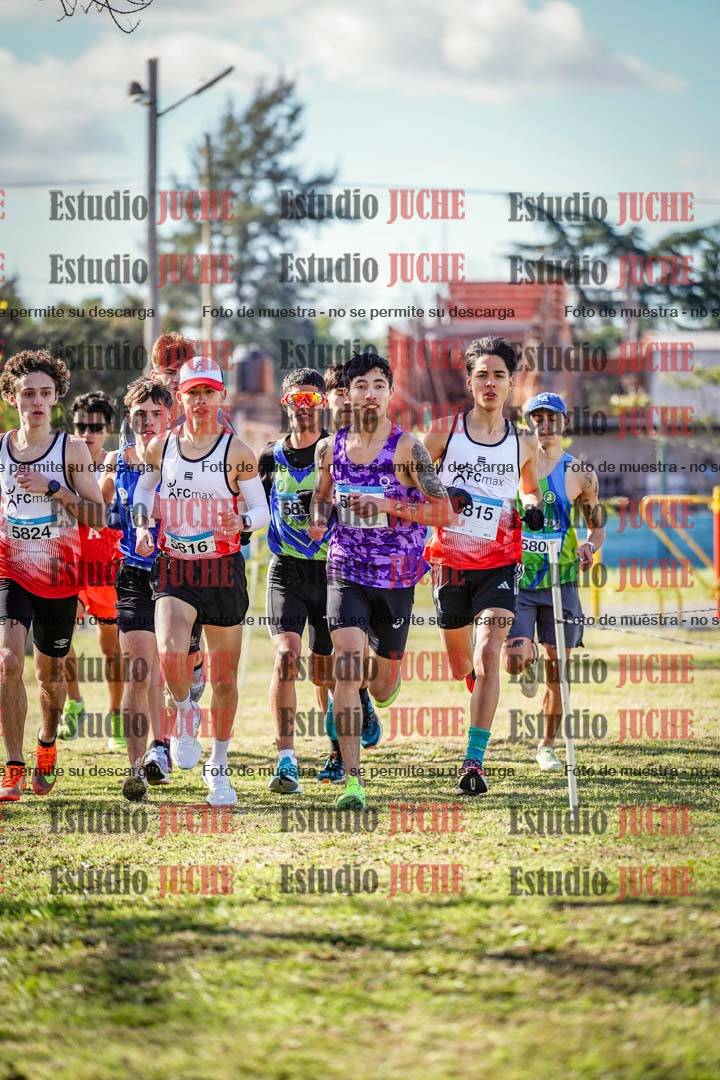 Fotos en el circuito