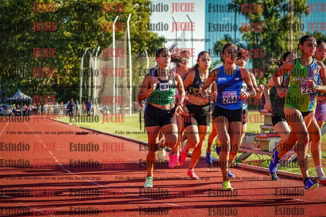 Fotos de los 1500 m de mujeres