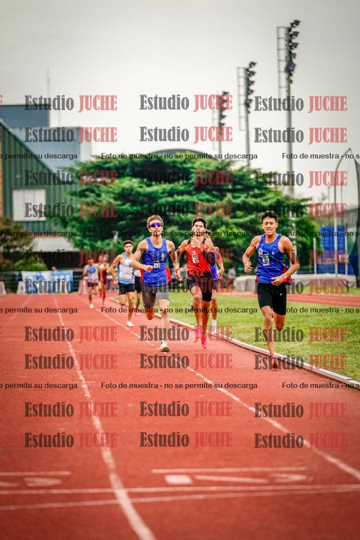 Fotos de los 800 m de varones