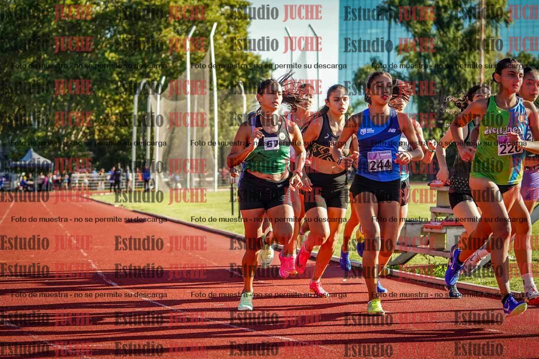 Fotos de los 1500 m de mujeres