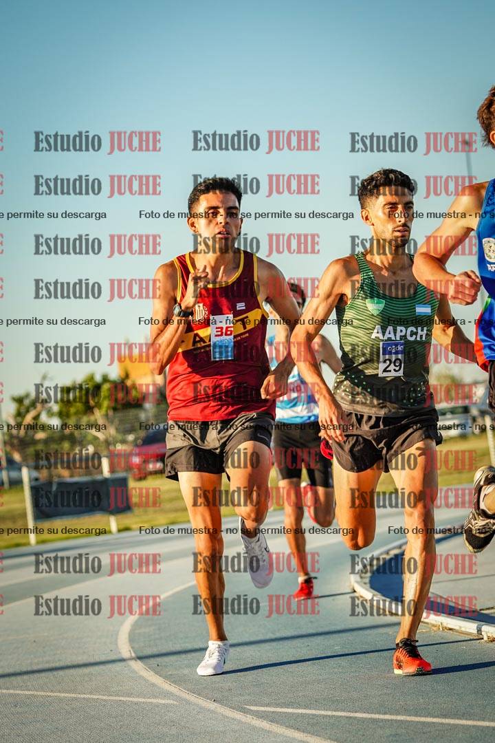 Fotos de los 1500 m llanos de varones