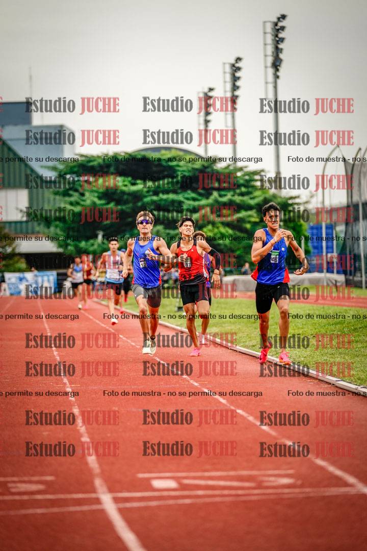 Fotos de los 800 m de varones