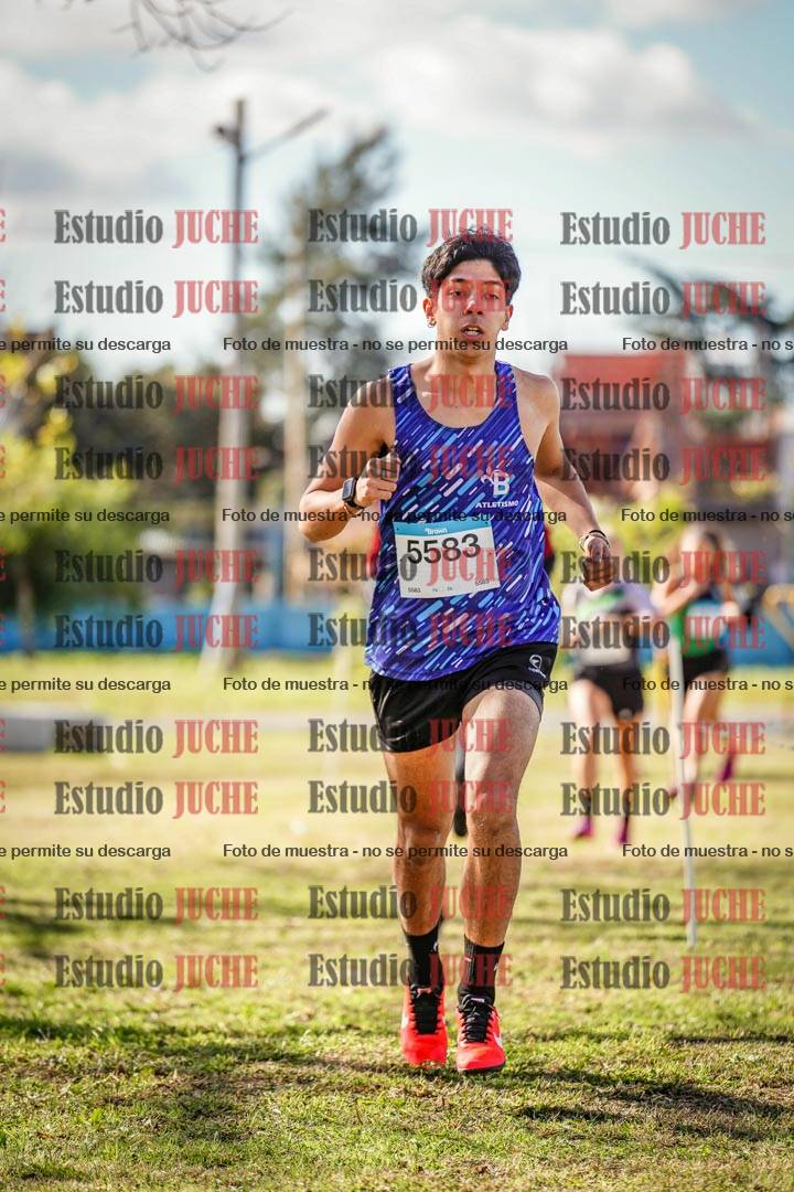 Fotos en el circuito