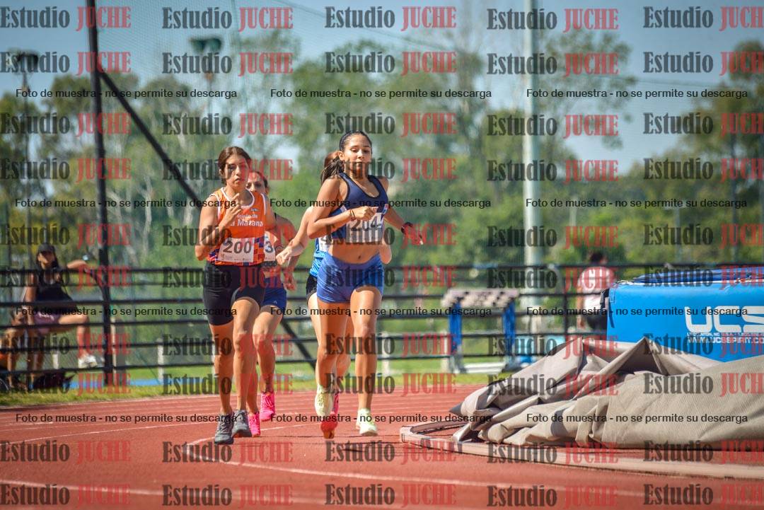Fotos de los 800 m llanos de mujeres