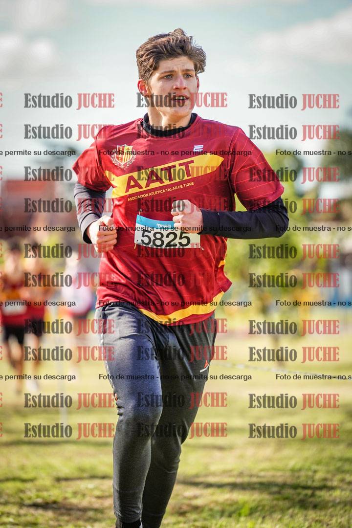 Fotos en el circuito