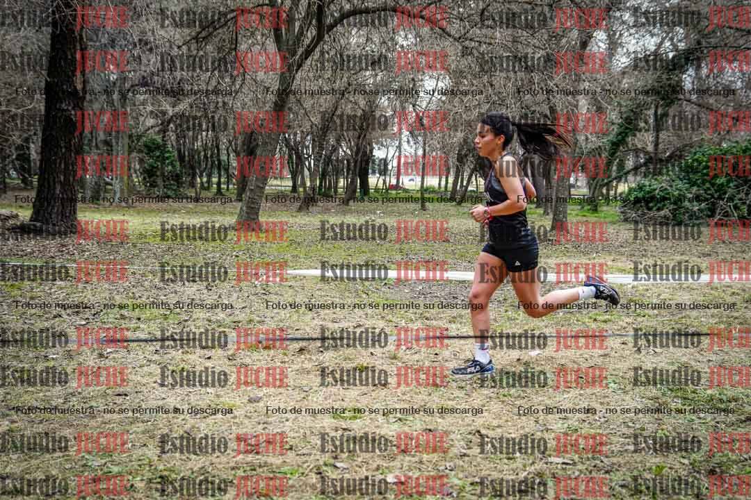 Fotos en el circuito