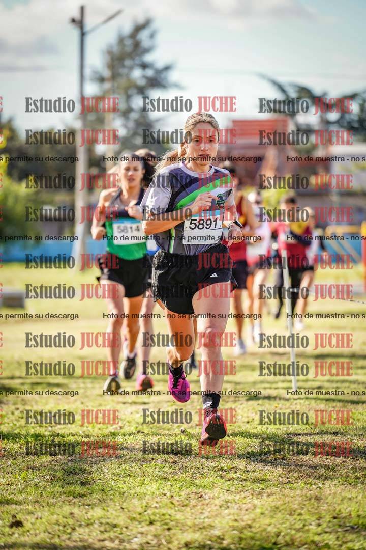 Fotos en el circuito