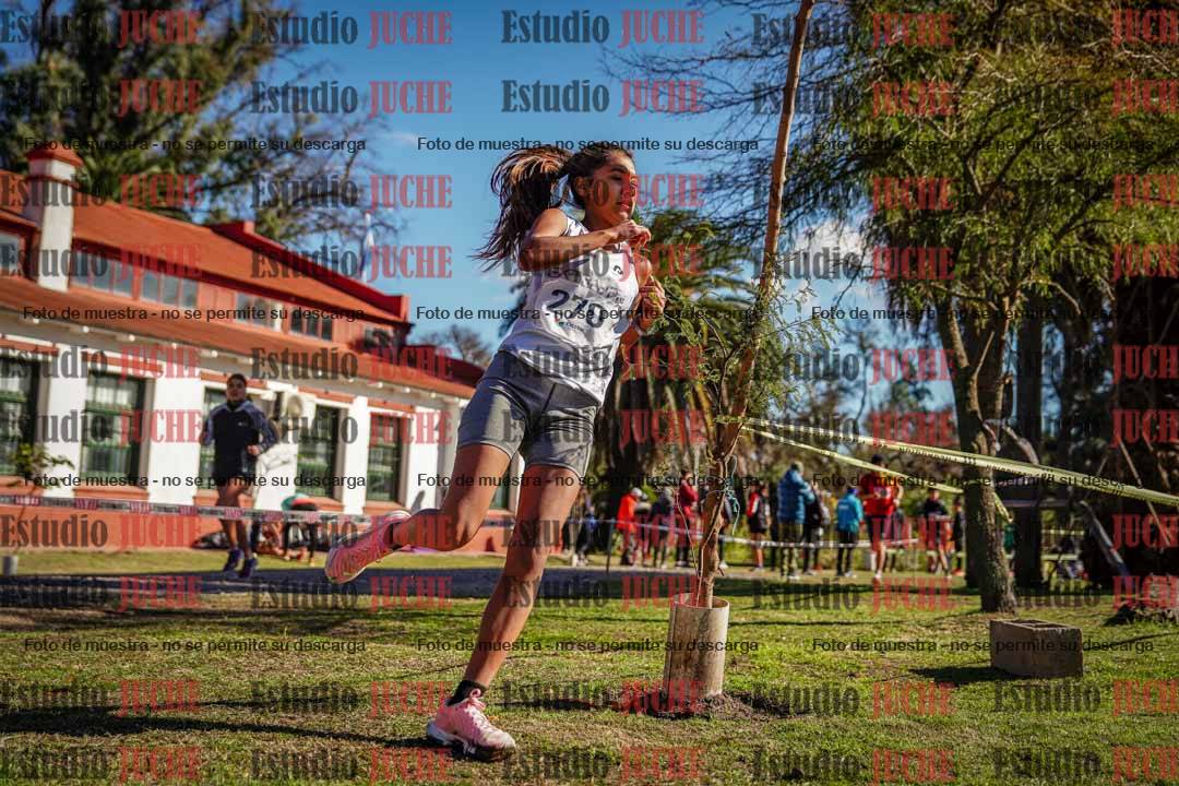 Fotos en el cuarto punto del circuito