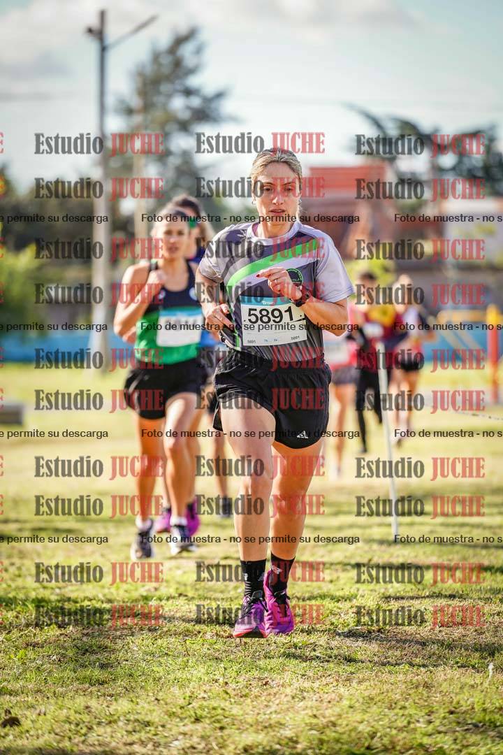 Fotos en el circuito