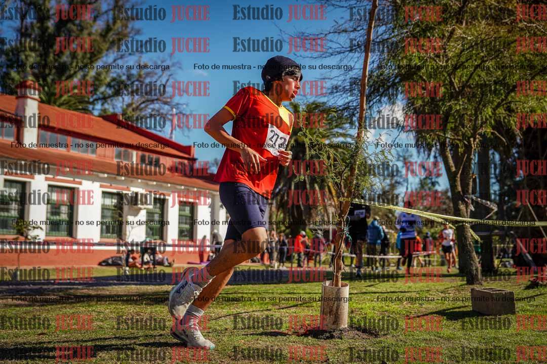 Fotos en el cuarto punto del circuito