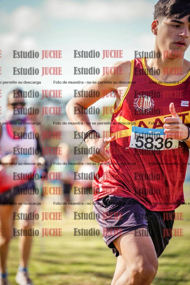 Fotos en el circuito