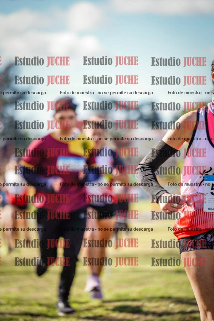 Fotos en el circuito