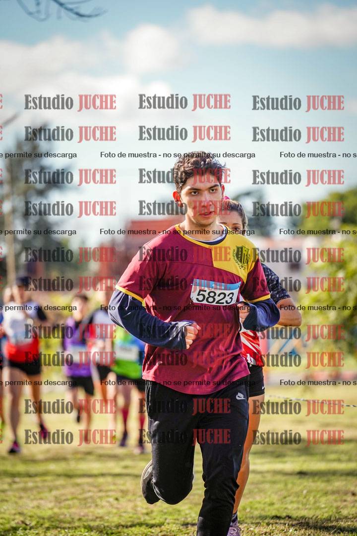 Fotos en el circuito