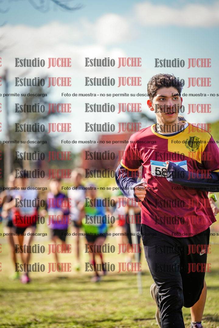Fotos en el circuito