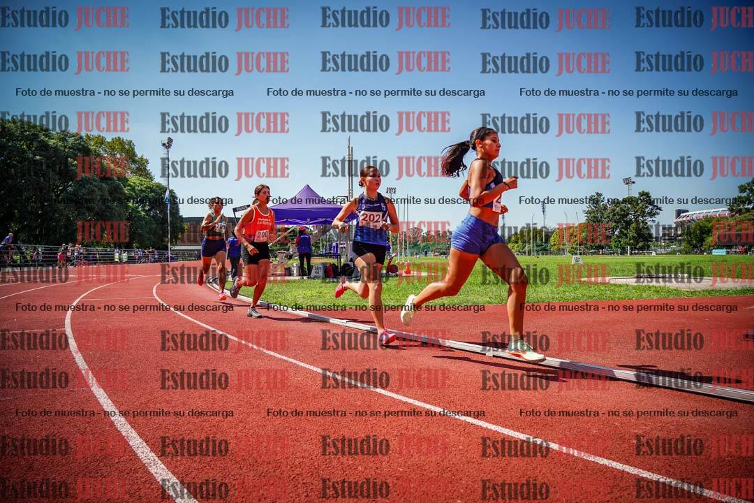 Fotos de los 800 m llanos de mujeres