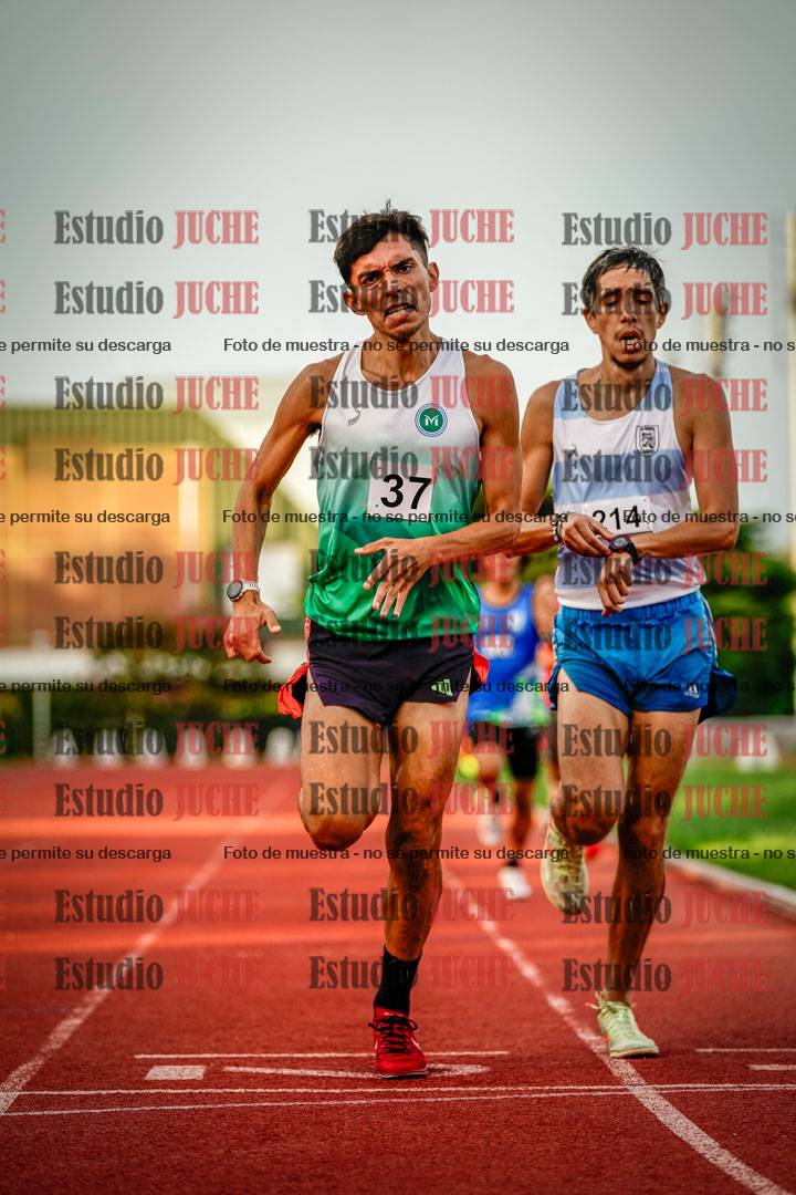 Fotos de los 1500 m llanos de varones