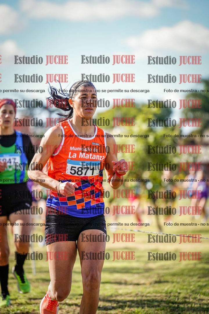 Fotos en el circuito