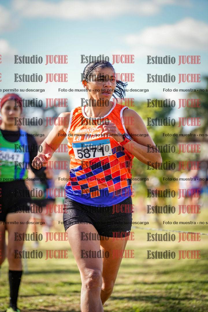 Fotos en el circuito