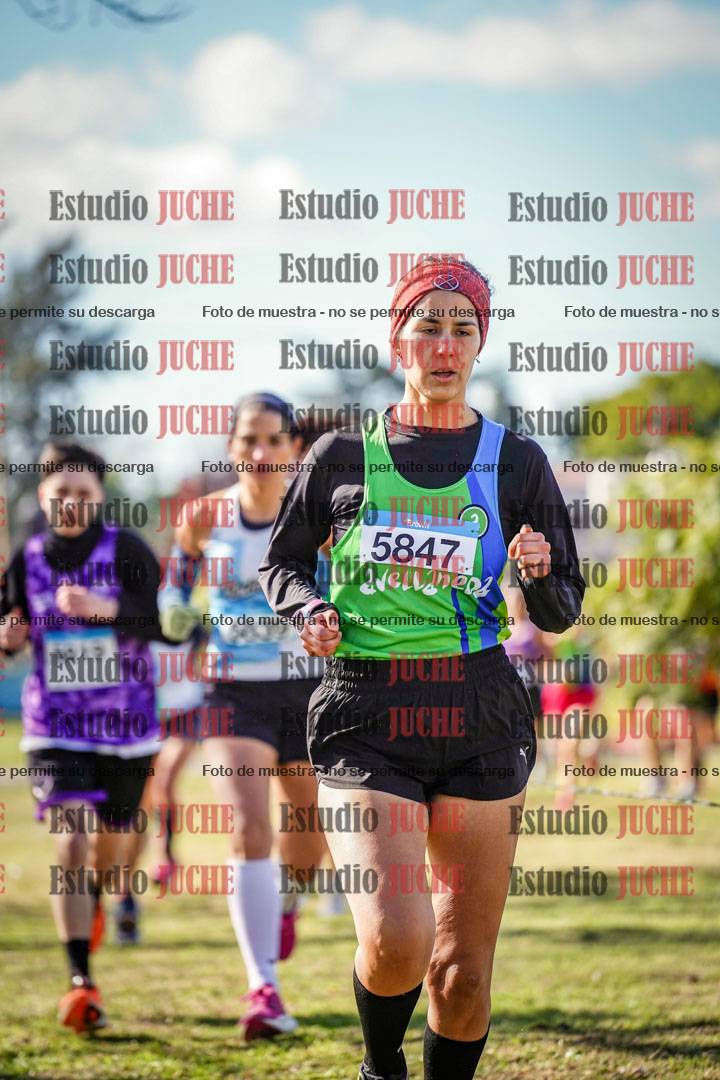 Fotos en el circuito