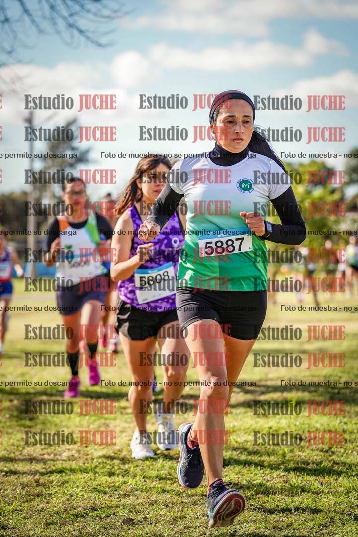 Fotos en el circuito