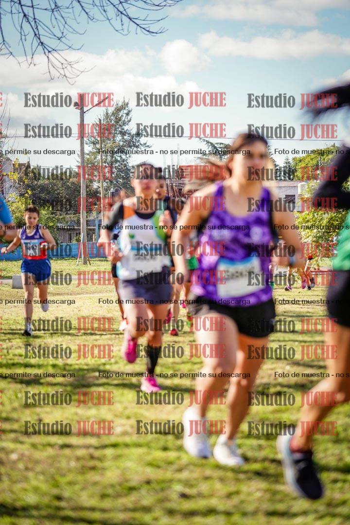Fotos en el circuito