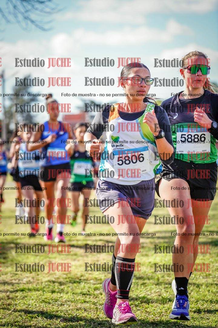 Fotos en el circuito