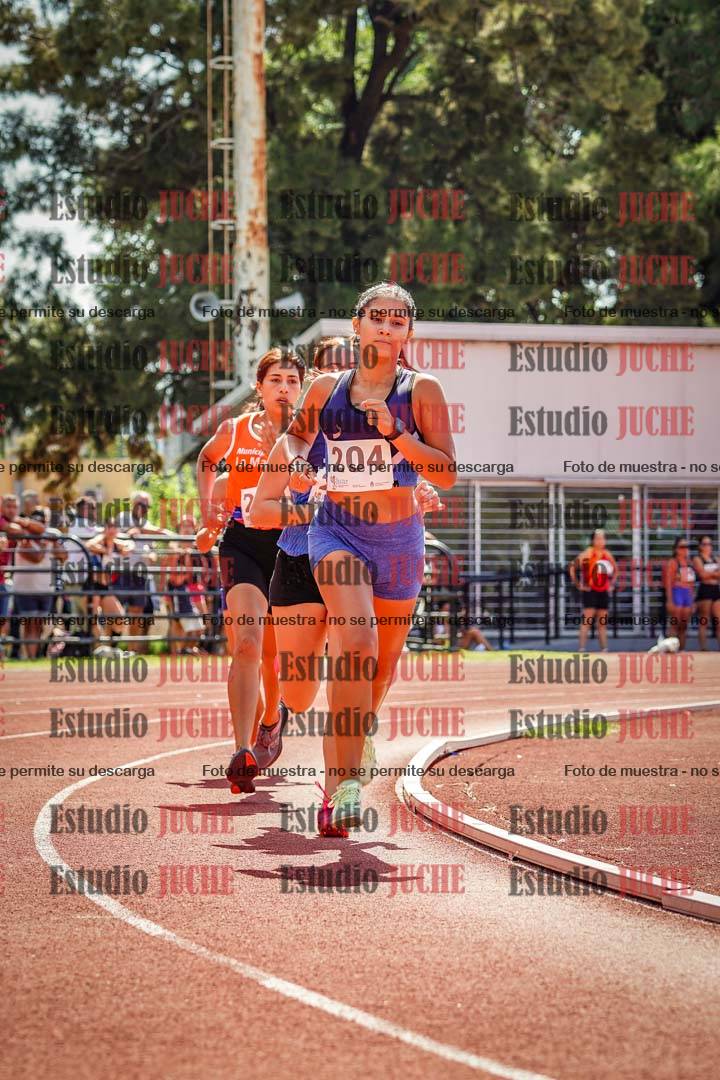 Fotos de los 800 m llanos de mujeres