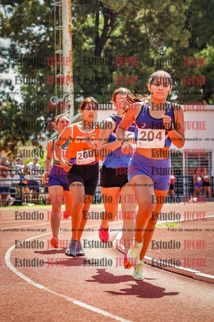 Fotos de los 800 m llanos de mujeres