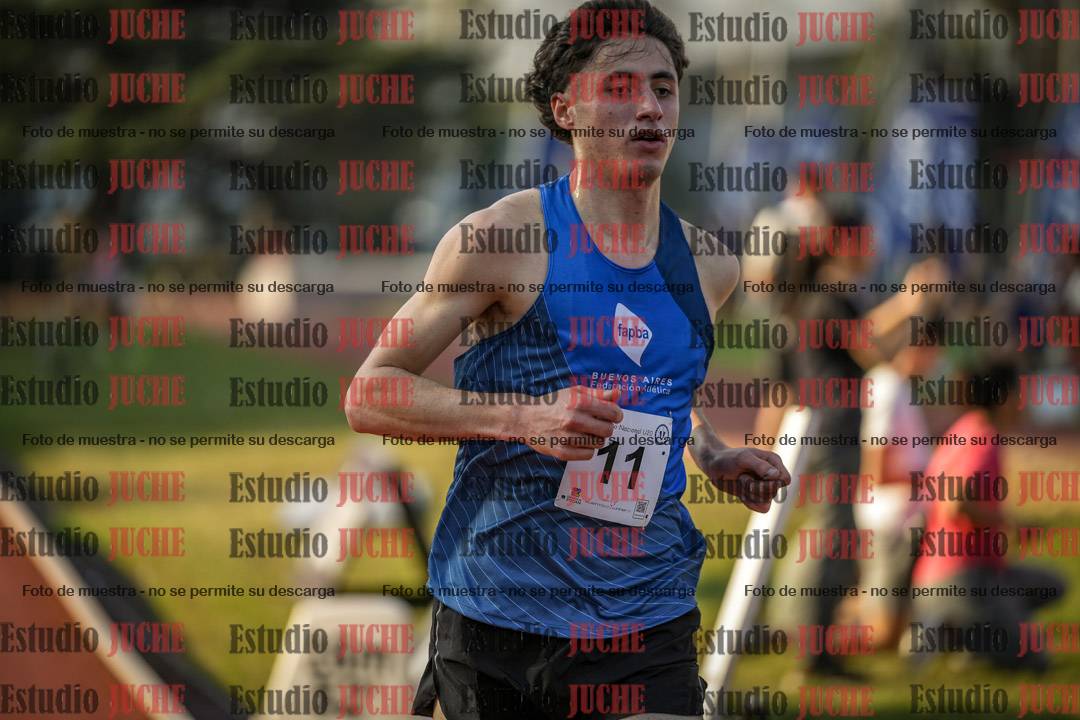 Fotos de los 5000 m llanos de varones