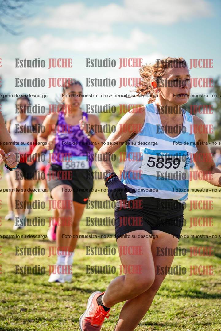Fotos en el circuito