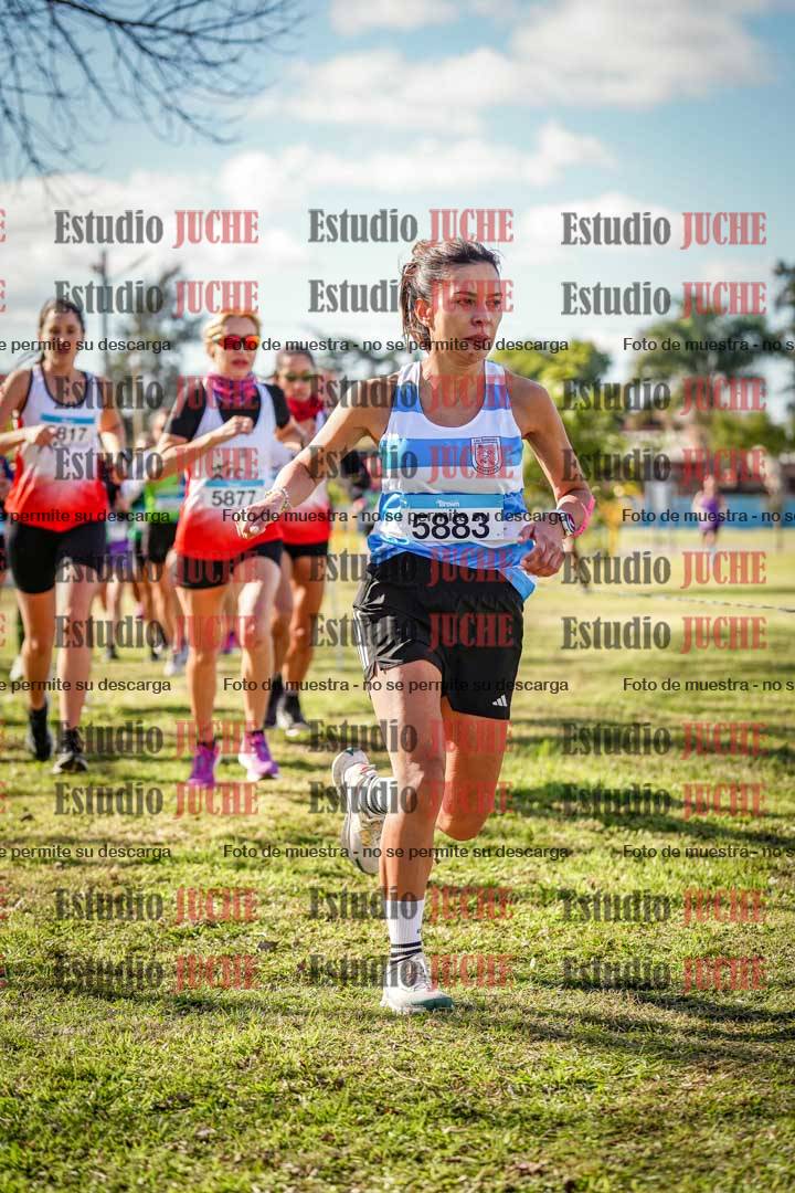 Fotos en el circuito