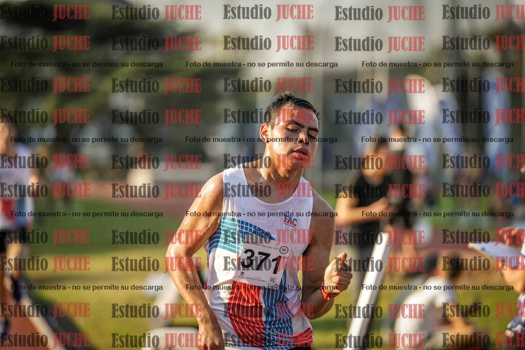 Fotos de los 5000 m llanos de varones
