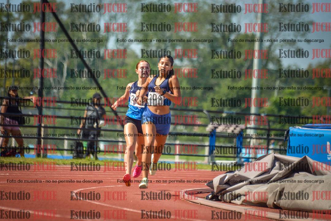 Fotos de los 800 m llanos de mujeres