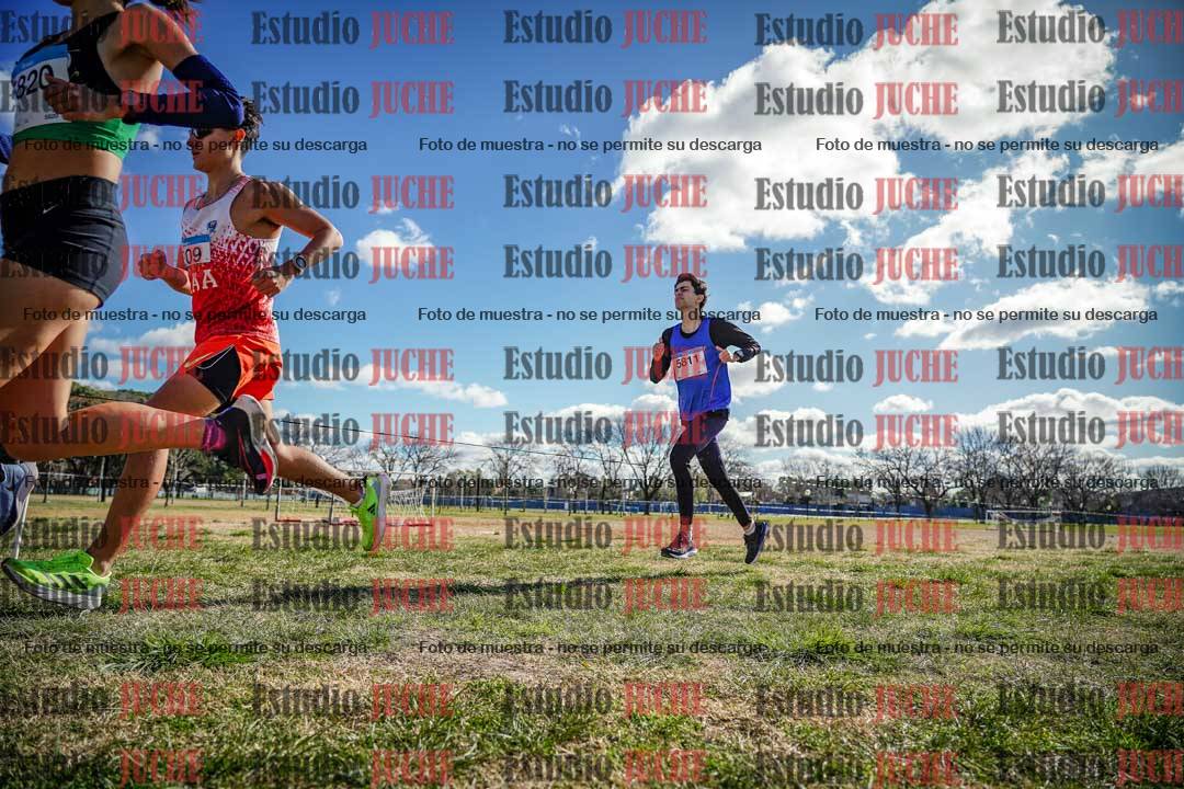 Fotos en el circuito