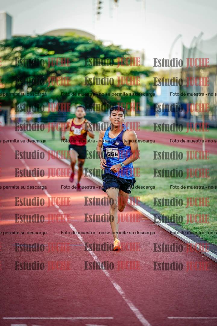 Fotos de los 3000 m llanos de varones