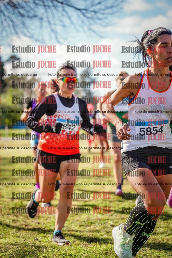 Fotos en el circuito