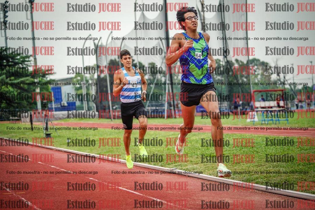 Fotos de los 800 m de varones