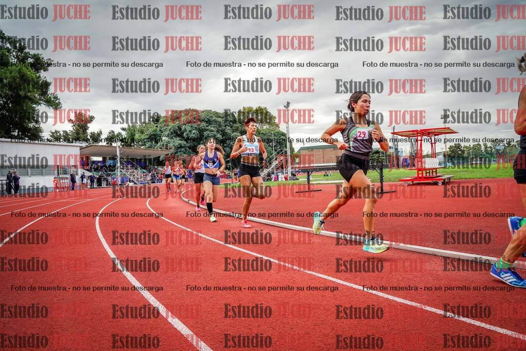 Fotos de los 1500 m llanos de mujeres