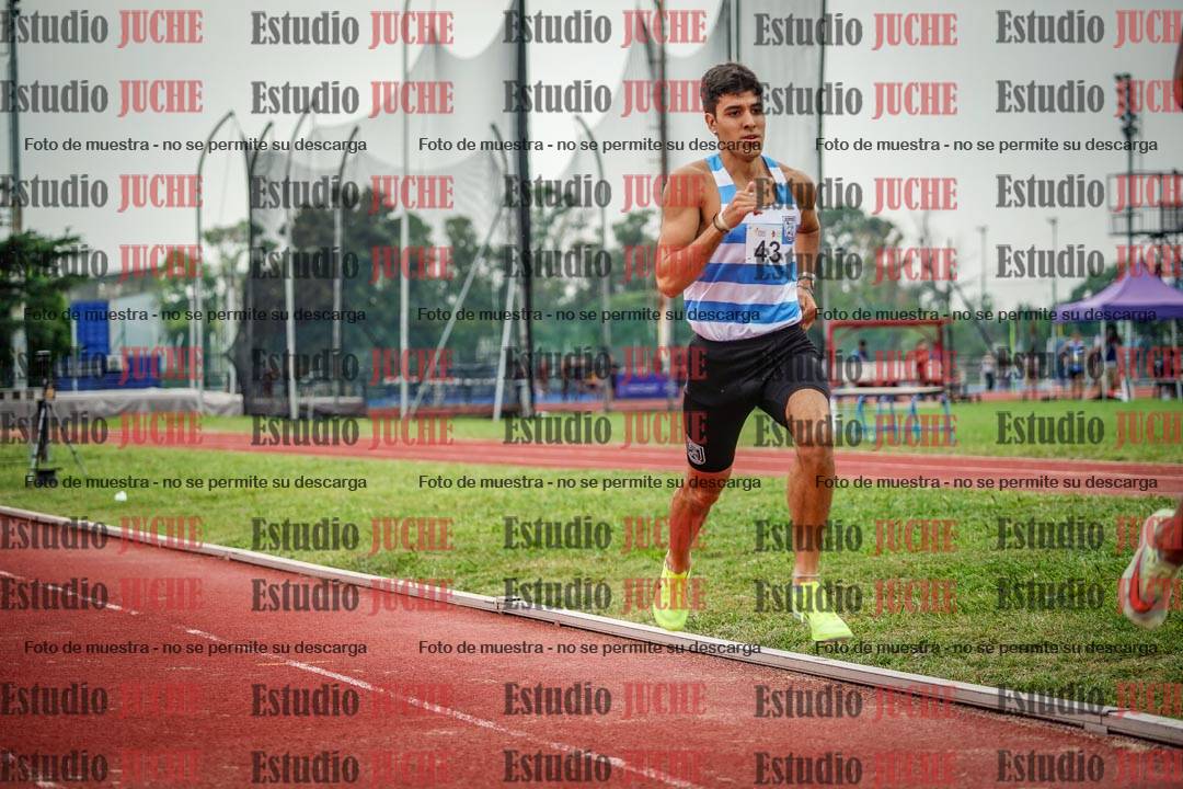 Fotos de los 800 m de varones