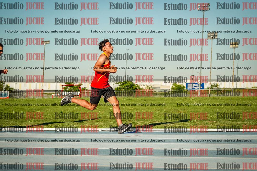 Fotos de los 3000 m llanos de varones