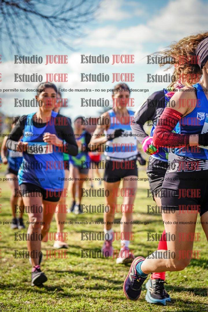 Fotos en el circuito
